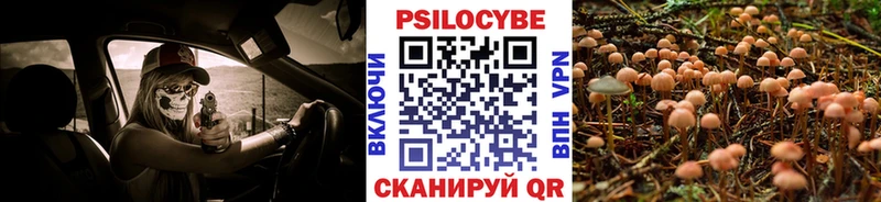 Псилоцибиновые грибы Psilocybe Унеча